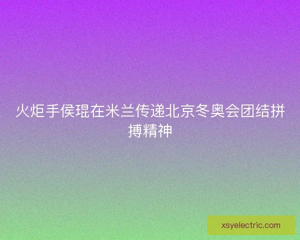 火炬手侯琨在米兰传递北京冬奥会团结拼搏精神